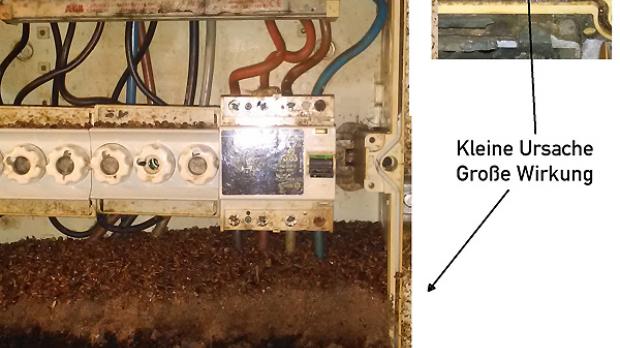 Eine besonders ′biodynamische′ E-Installation fand Norbert Ortlieb vor: ′Die neue biologische Elektroinstallation: Über lottrig sitzende Ap-Steckdose ′gefunden′. Der FI löste zwar beim Austausch sogar wieder mit der Prüftaste aus - beim ersten Messen und Prüfen tat er keinen 'Zucker' mehr- trotzdem wurde das nicht so belassen, zumal u.a. auch die N + PE-Schiene nicht nur korrodierte Klemmen hatte, sondern von den Gärgasen versprödet war. Ursache 1: Blindstopfen unbemerkt weggesaugt, Ursache 2: Eventuell >10 Jahre keine Wartung und/oder Wiederholungsprüfung = Totalschaden.  Quelle: N. Ortlieb
